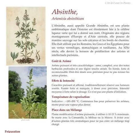 Une page du guide : la fiche complète de l'Absinthe